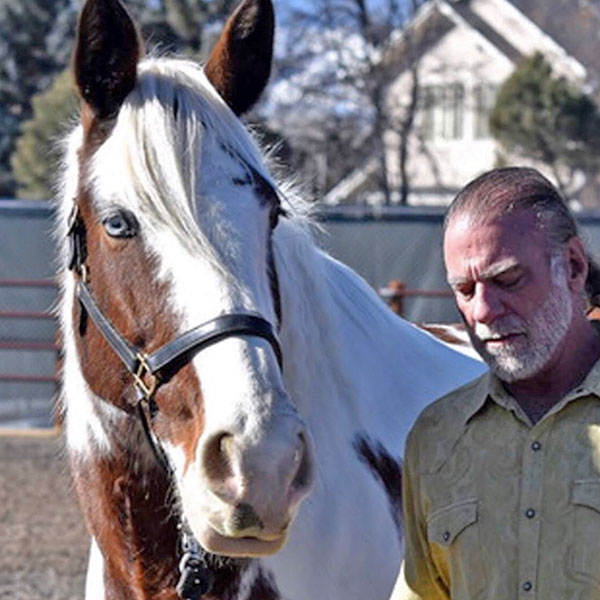 MarkEsq-Media-Photos-Horse